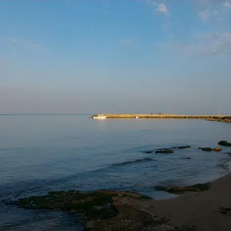 Casa Iolanda *